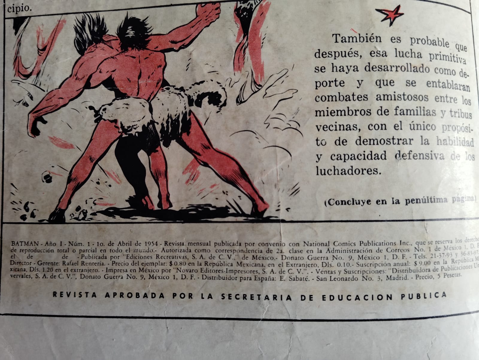 Batman #1 Editorial Novaro