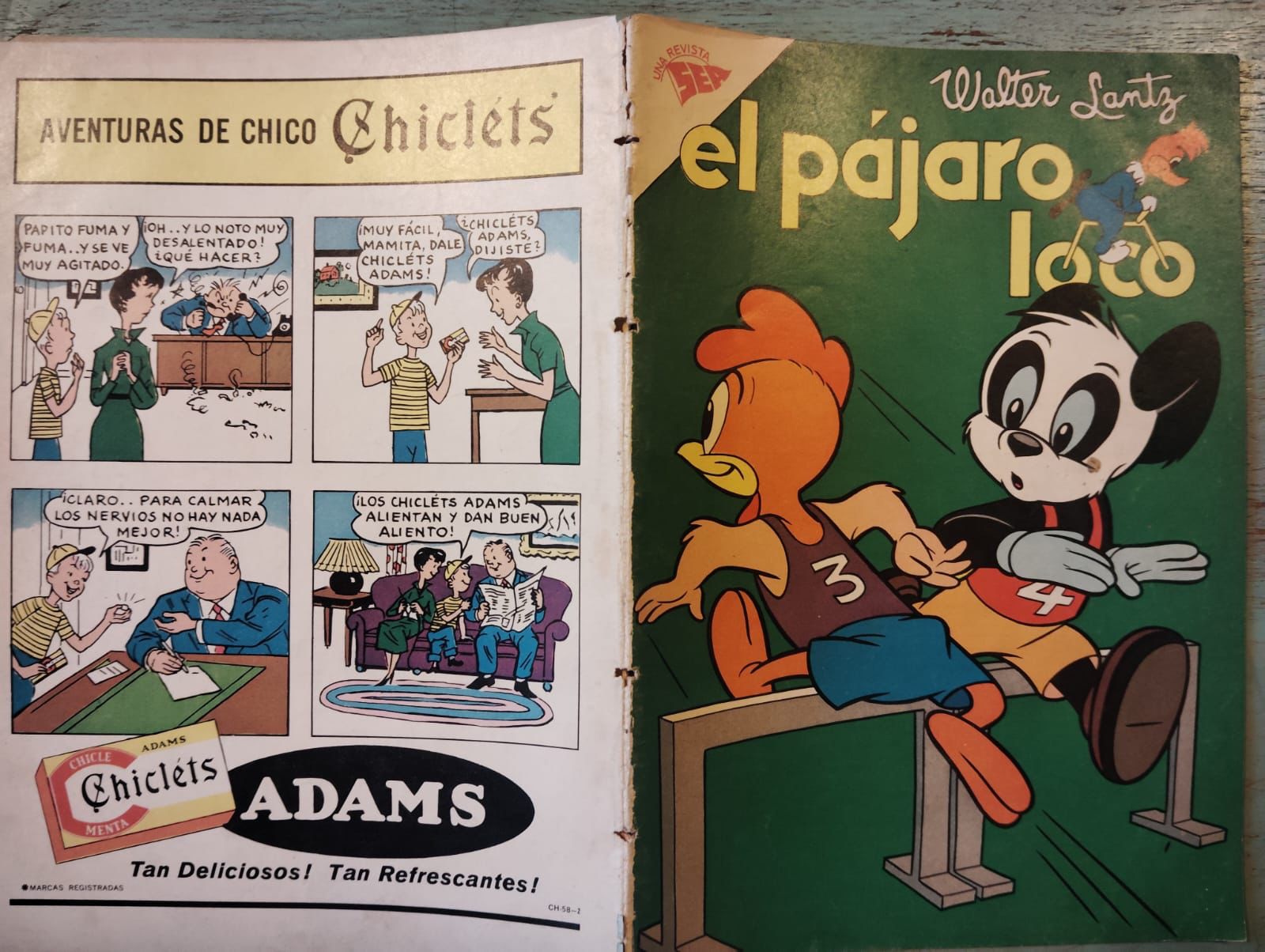 Comics colección pajaro loco