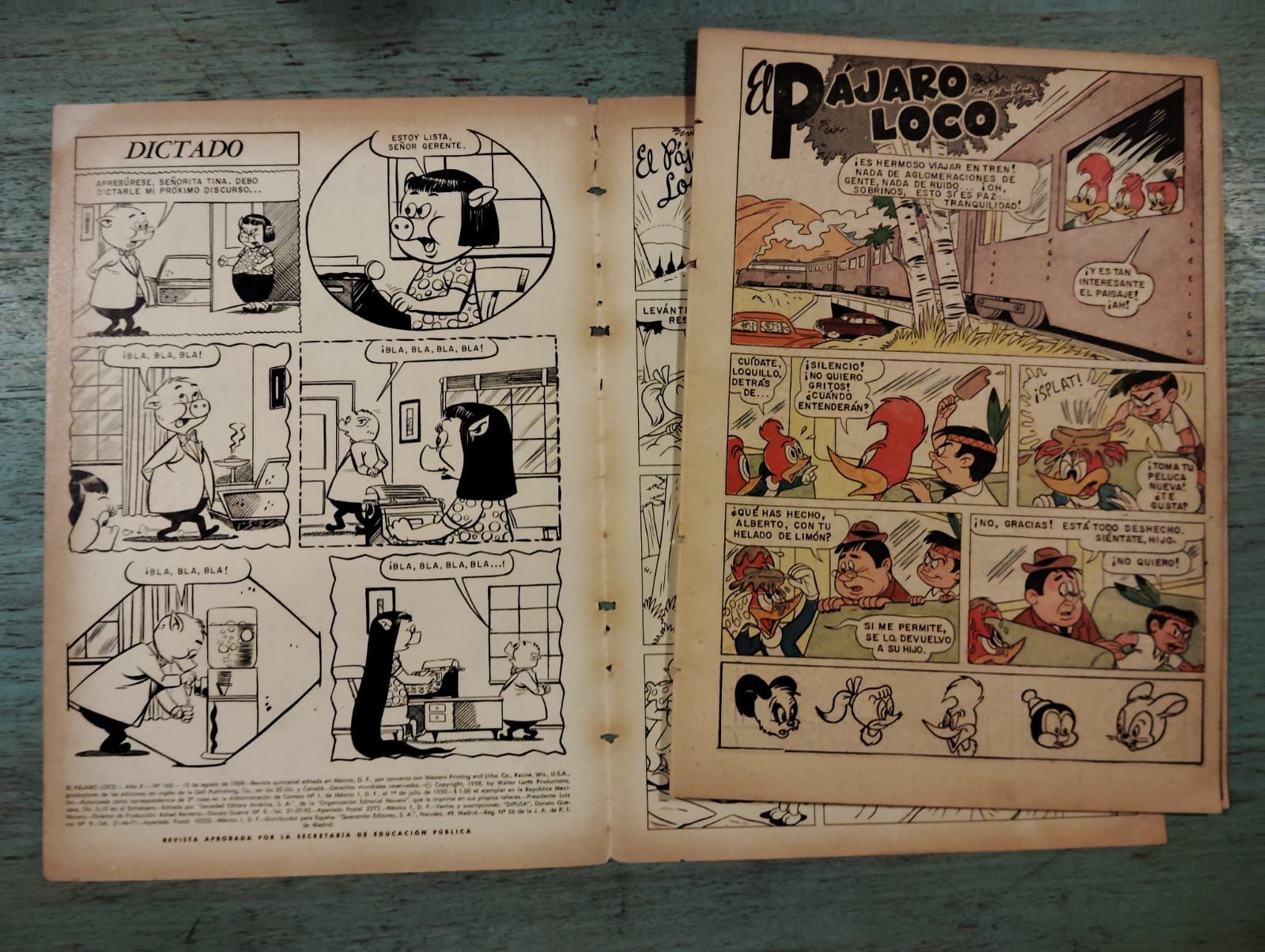 Comics pájaro loco